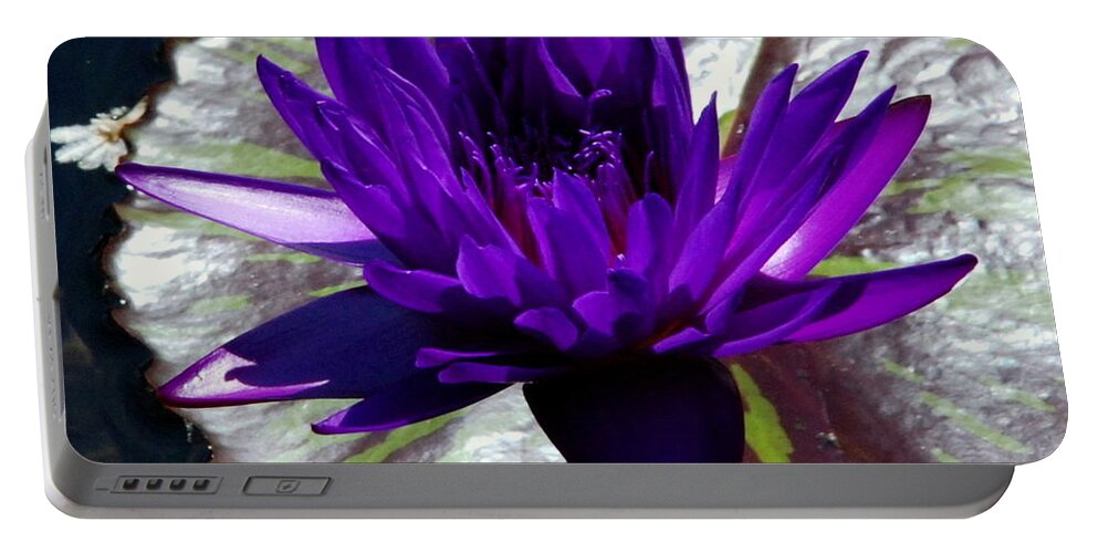 Water Portable Battery Charger featuring the photograph Water Lily 008 by Larry Ward