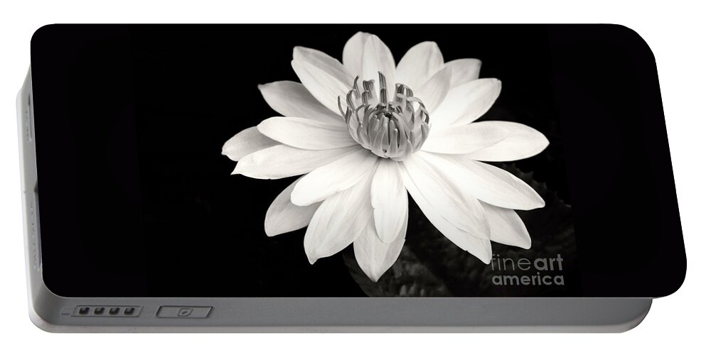 Landscape Portable Battery Charger featuring the photograph Water Lily Ballerina by Sabrina L Ryan