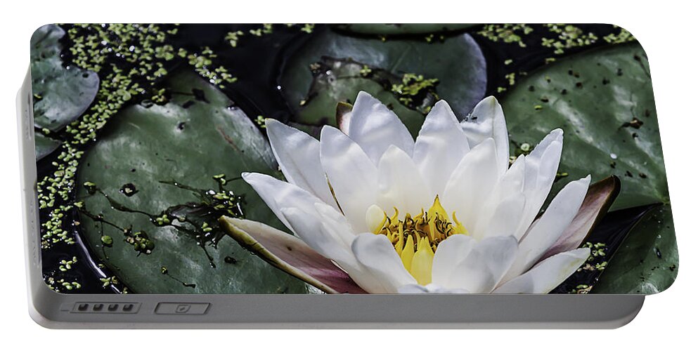 Heron Heaven Portable Battery Charger featuring the photograph Water Lily by Ed Peterson