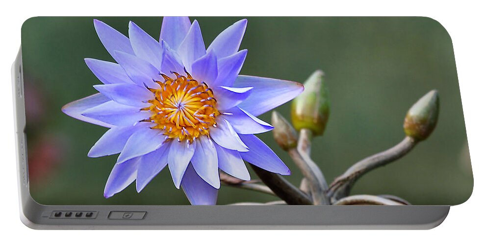 Flowers Portable Battery Charger featuring the photograph Water Lily Reflections by Kathy Baccari