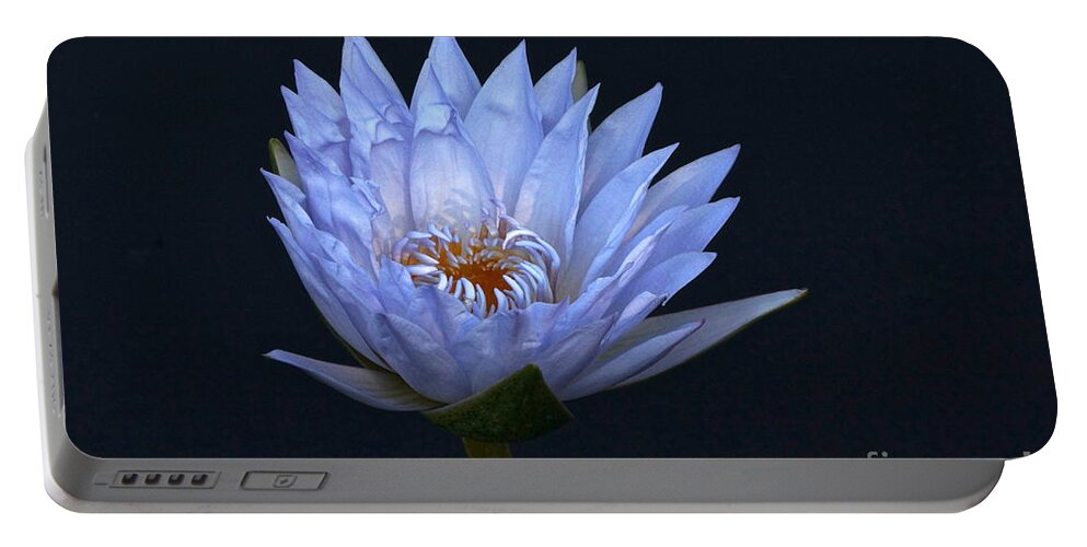 Blue Lavender Water Lily Blossom Portable Battery Charger featuring the photograph Water Lily Shades of Blue and Lavender by Byron Varvarigos
