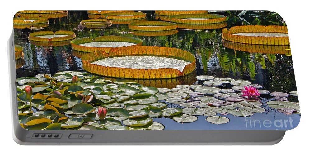 Tropical And Hardy Waterlilies Portable Battery Charger featuring the photograph Waterlilies All -- version 2 by Byron Varvarigos
