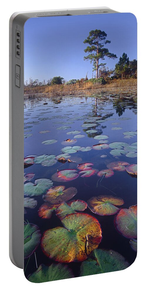 Feb0514 Portable Battery Charger featuring the photograph Waterlilies Jonathan Dickinson State by Tim Fitzharris