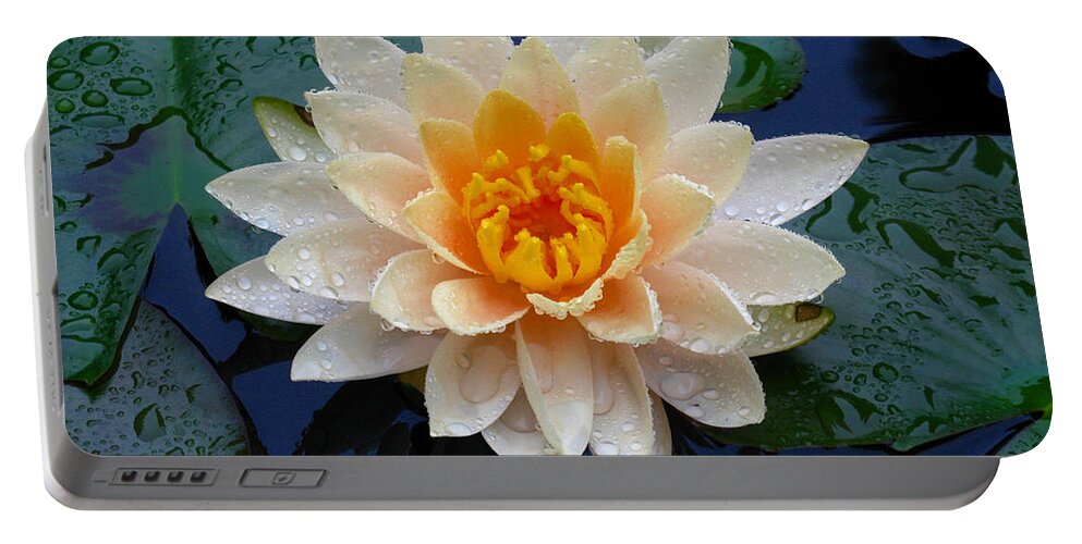Waterlily Portable Battery Charger featuring the photograph Waterlily After a Shower by Raymond Salani III