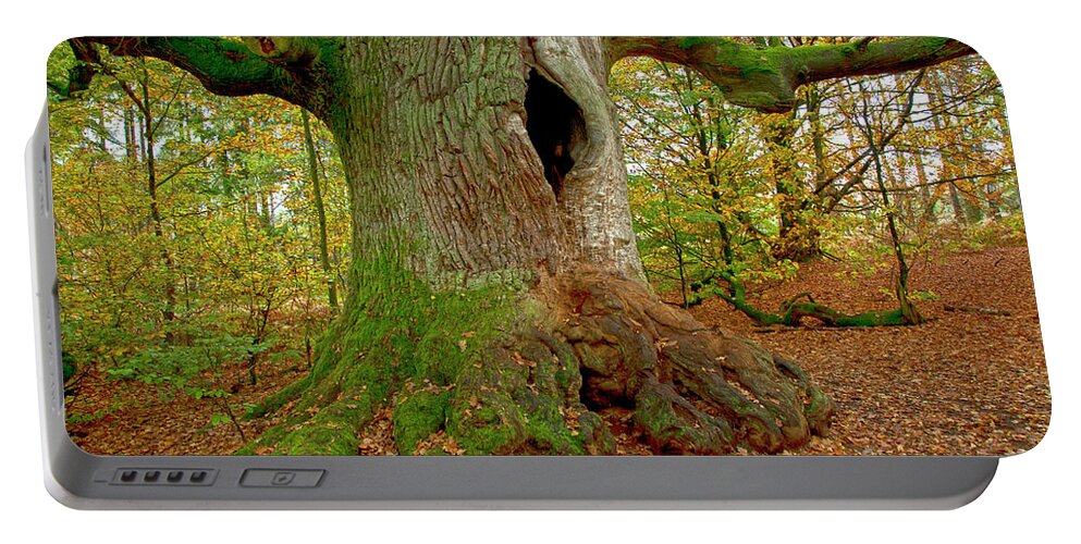 Tree Portable Battery Charger featuring the photograph We are here since 1000 years 2 by Heiko Koehrer-Wagner
