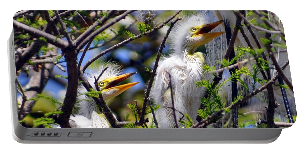 Egret Chicks Portable Battery Charger featuring the photograph We Love You Mama by Lydia Holly