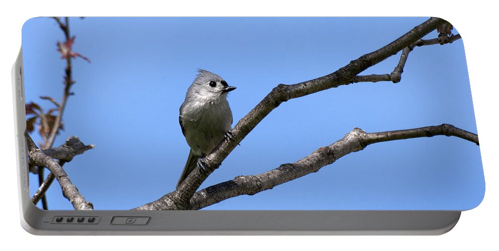 Tufted Titmouse Portable Battery Charger featuring the photograph Weary Wings by Christina Rollo