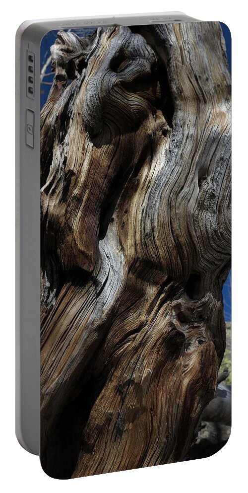 Wood Portable Battery Charger featuring the photograph Weathered by Jessica Myscofski
