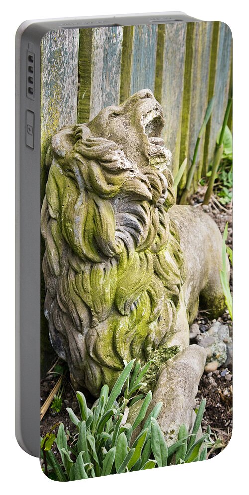 Lion Portable Battery Charger featuring the photograph Weathered Lion by Priya Ghose