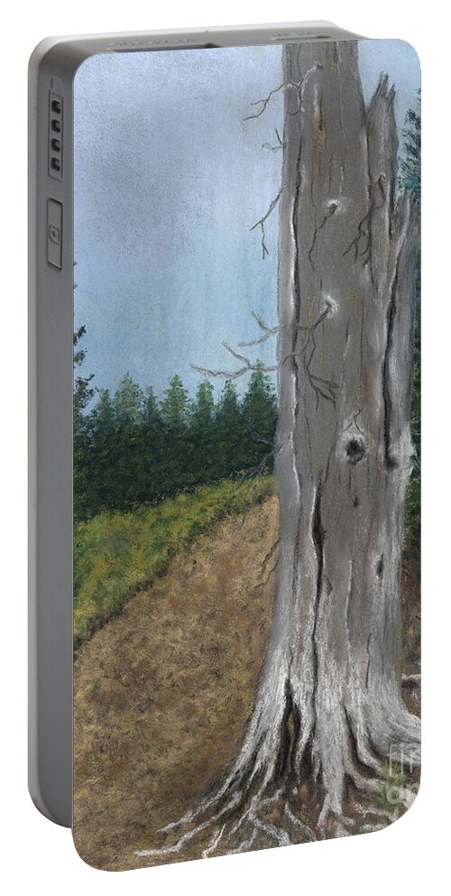 Tree Portable Battery Charger featuring the painting Weathered Trunk by Ginny Neece