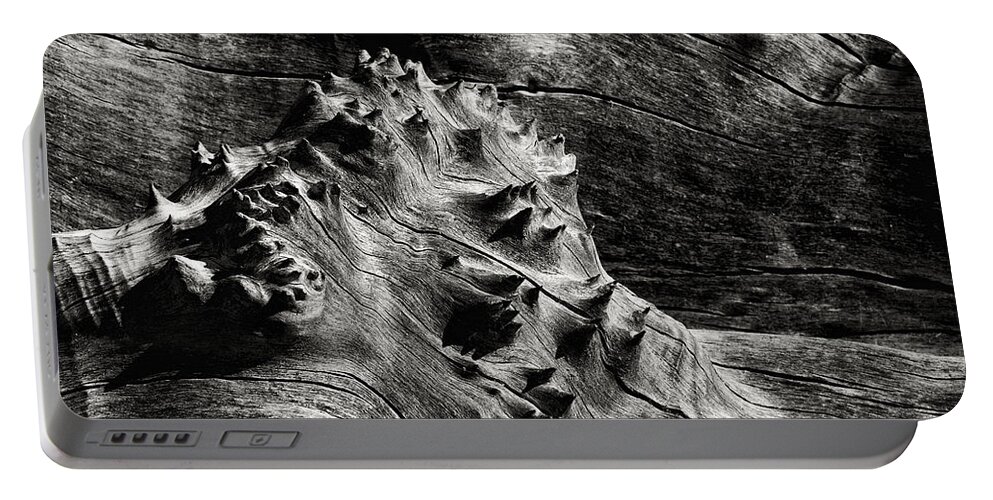 Wood Portable Battery Charger featuring the photograph Weathered Wood by Robert Woodward