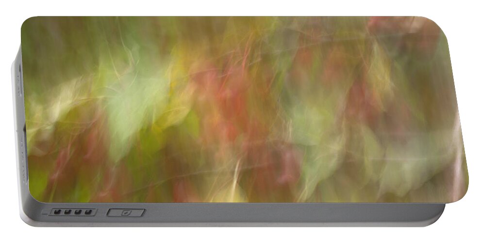 Abstract Portable Battery Charger featuring the photograph Weeping Crabapple by Eunice Gibb