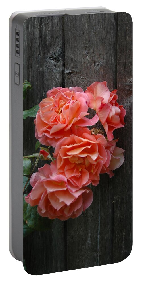 Texture Portable Battery Charger featuring the photograph Westerland Rose Wood Fence by Tom Wurl