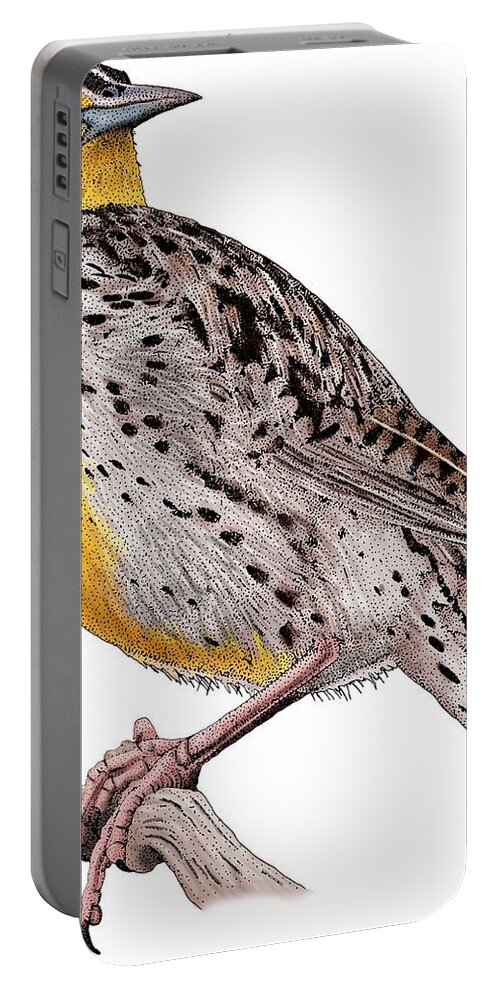 Western Meadowlark Portable Battery Charger featuring the photograph Western Meadowlark by Roger Hall