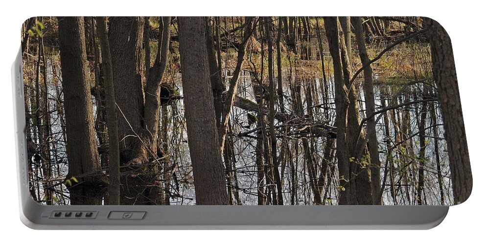 Creek Portable Battery Charger featuring the photograph Wetland by Joseph Yarbrough