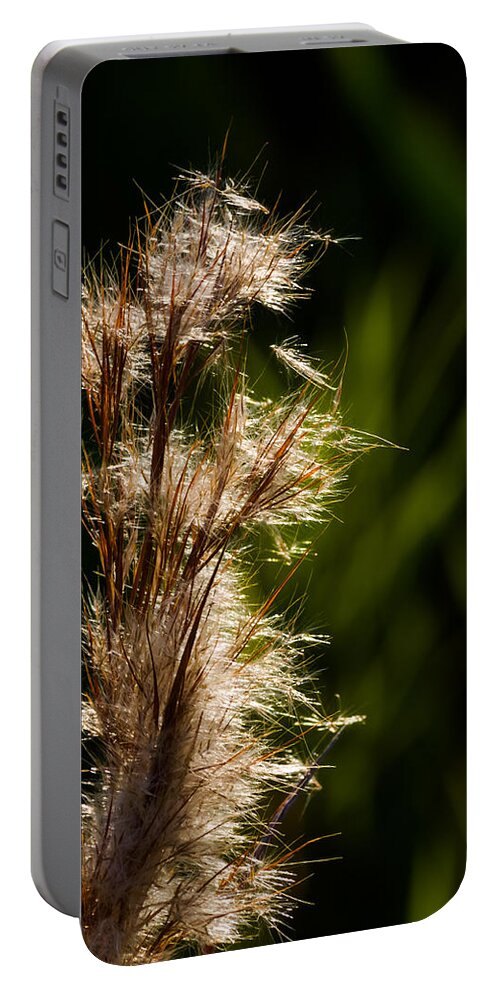 Aqauatic Portable Battery Charger featuring the photograph Wetland Sparkles by Ed Gleichman