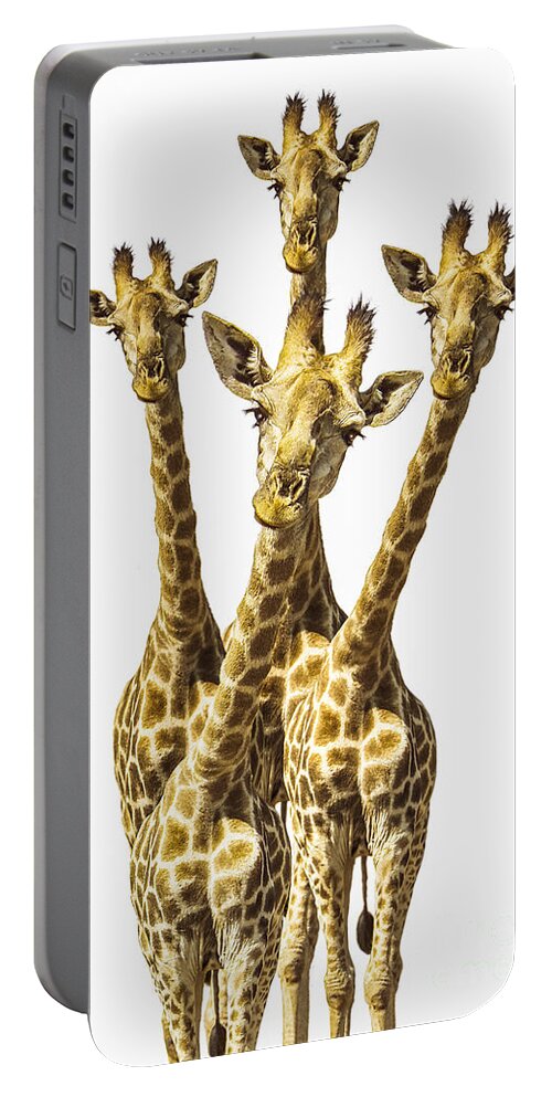 Giraffe Portable Battery Charger featuring the photograph What are YOU looking at? by Diane Diederich