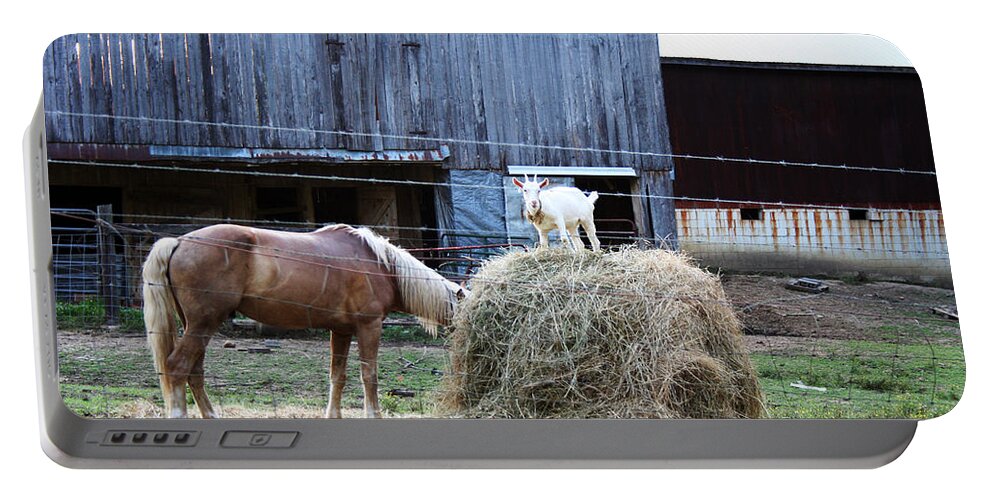 Goat Portable Battery Charger featuring the photograph What You Looking At by La Dolce Vita