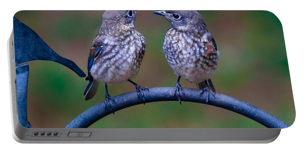 Bluebird Portable Battery Charger featuring the photograph When's Dad Coming Back? by Robert L Jackson