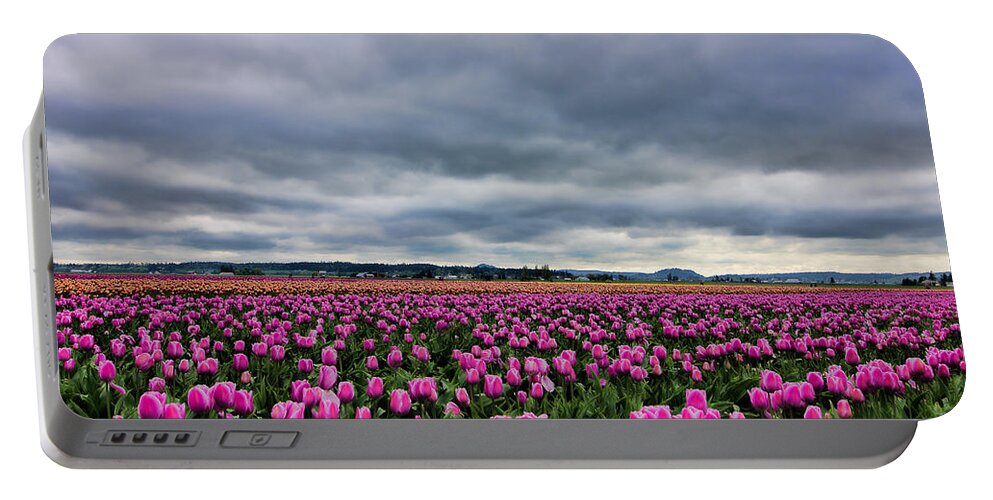 Beautiful Tulips Portable Battery Charger featuring the photograph Where the Tulips Meet the Sky by Don Schwartz