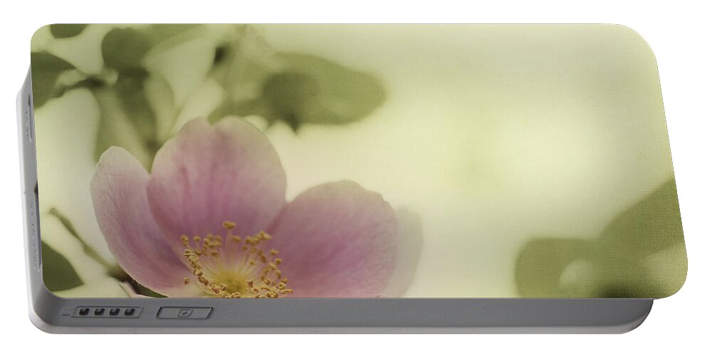 Rosa Acicularis Portable Battery Charger featuring the photograph Where The Wild Roses Grow by Priska Wettstein