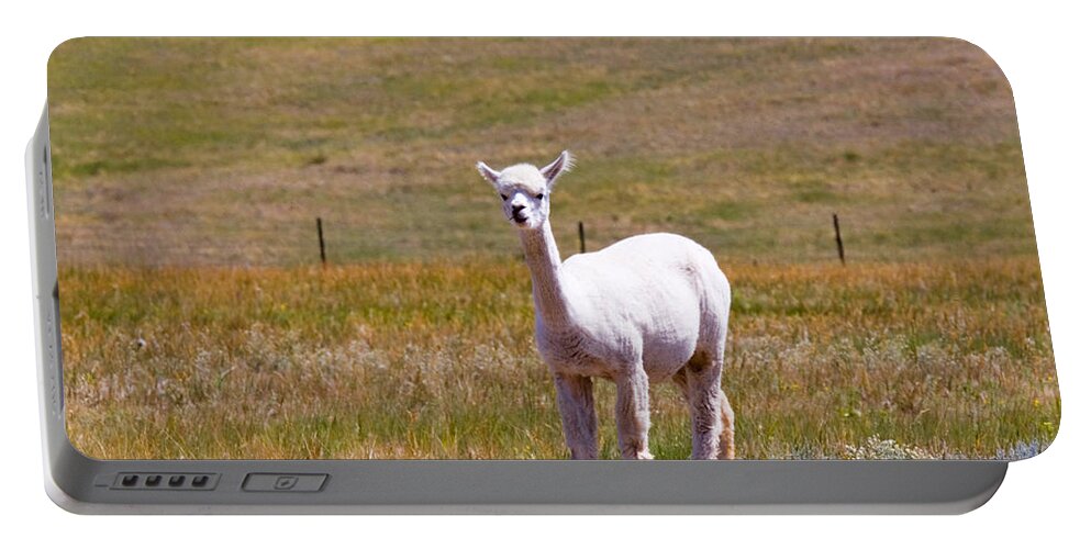 Alpaca Portable Battery Charger featuring the photograph White Alpaca by Steven Krull
