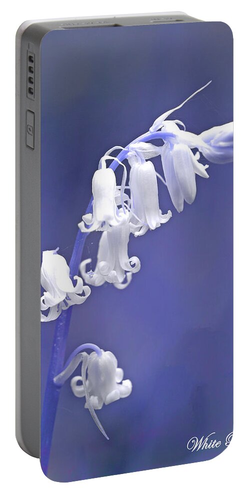 Bluebell Portable Battery Charger featuring the photograph White Bluebell by David Birchall