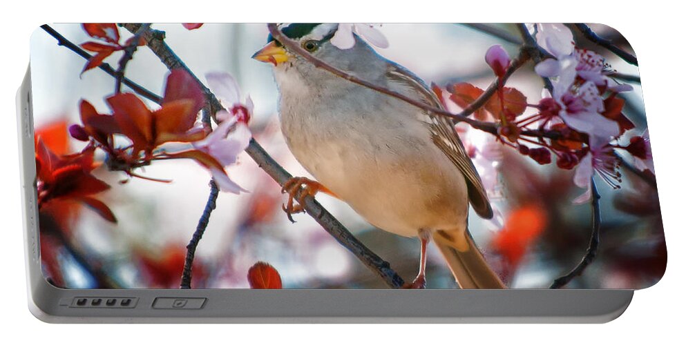 Birds Portable Battery Charger featuring the photograph White-crowned Sparrow by Jim Thompson