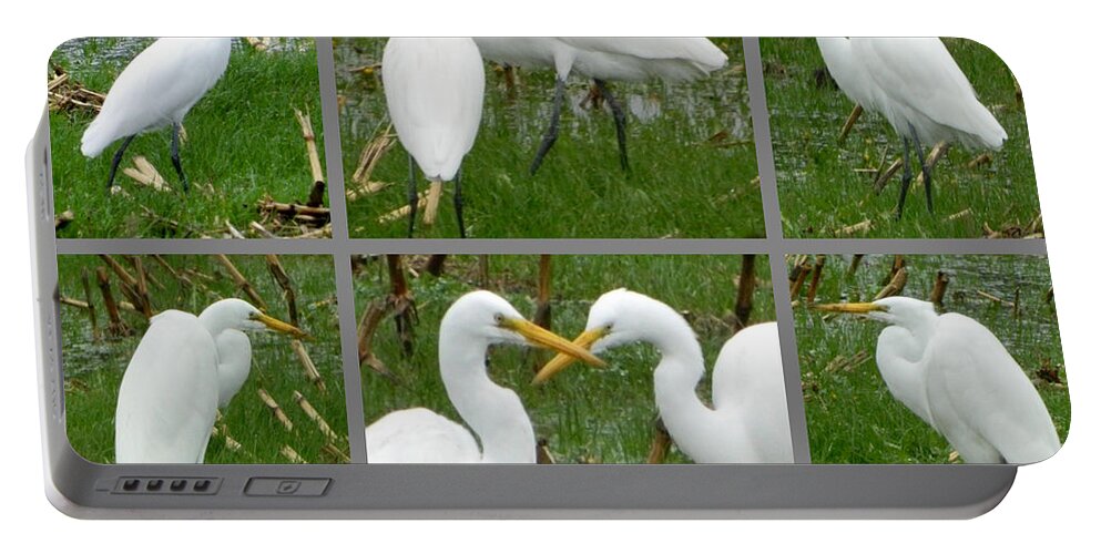 Birds Portable Battery Charger featuring the photograph White Egrets by Gallery Of Hope 