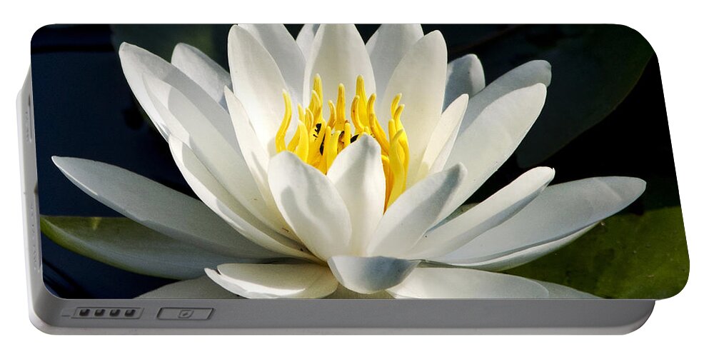 Water Lily Portable Battery Charger featuring the photograph White Water Lily by Christina Rollo