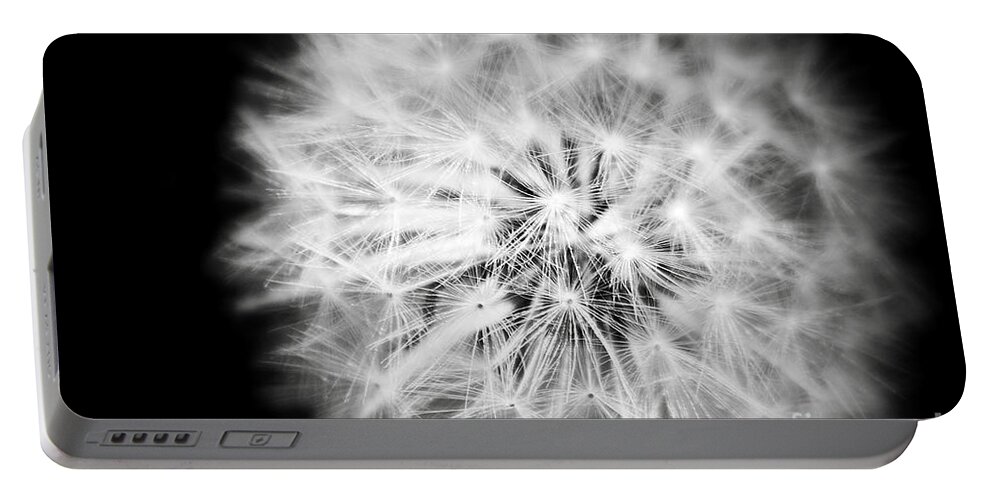 White Fluffy Dandelion Flower Black And White Nature Fine Art Photography Portable Battery Charger featuring the photograph White Fluffy Dandelion by Jerry Cowart