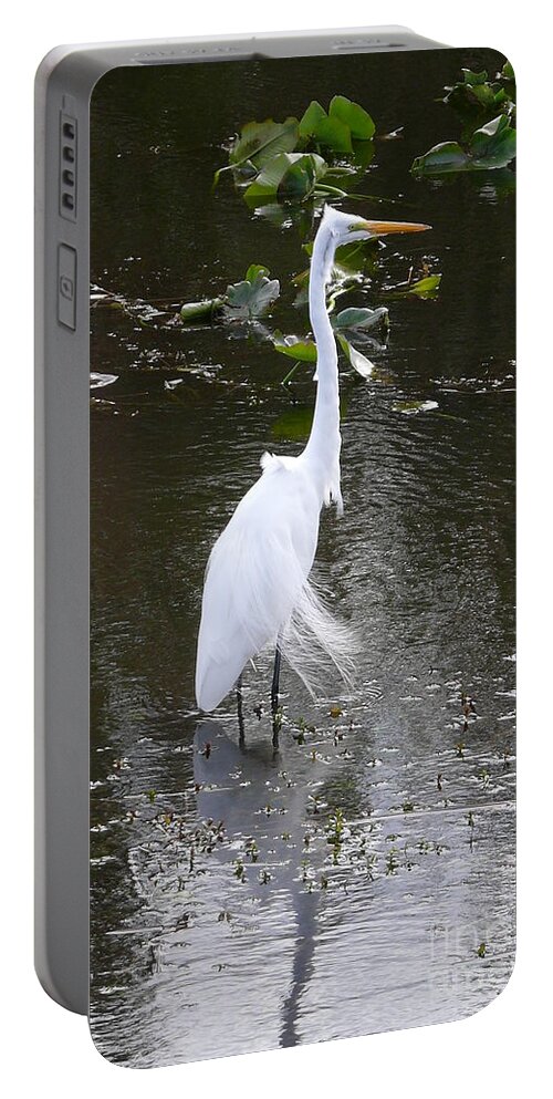 Wildlife Portable Battery Charger featuring the photograph White Heron by Amanda Mohler