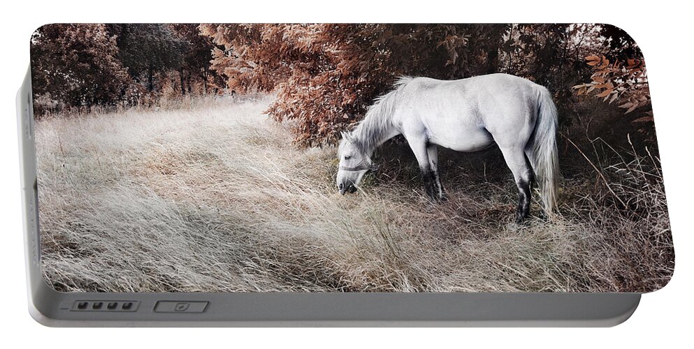 Horse Portable Battery Charger featuring the photograph White horse by Jelena Jovanovic