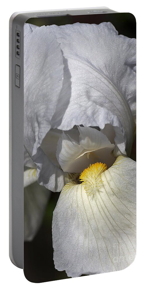 Iridaceae Portable Battery Charger featuring the photograph White Iris by Joy Watson
