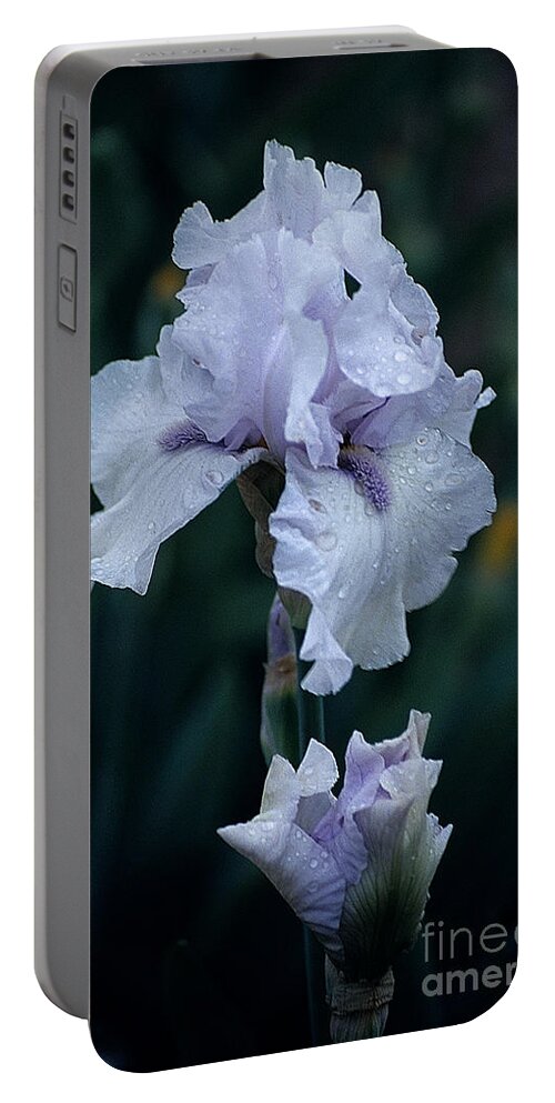 White Iris Portable Battery Charger featuring the photograph White Iris by Sharon Elliott