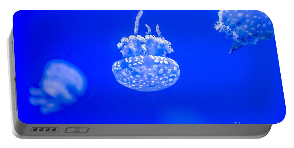  Salt Water Portable Battery Charger featuring the photograph White Jelly Fish by Cheryl Baxter