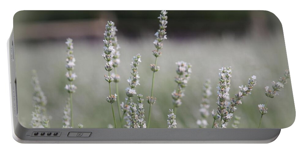 White Lavender Portable Battery Charger featuring the photograph White Lavender by Lynn Sprowl