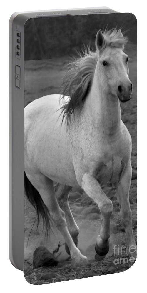 Rtf Ranch Portable Battery Charger featuring the photograph White Mare Approaches Number One Close Up Black and White by Heather Kirk