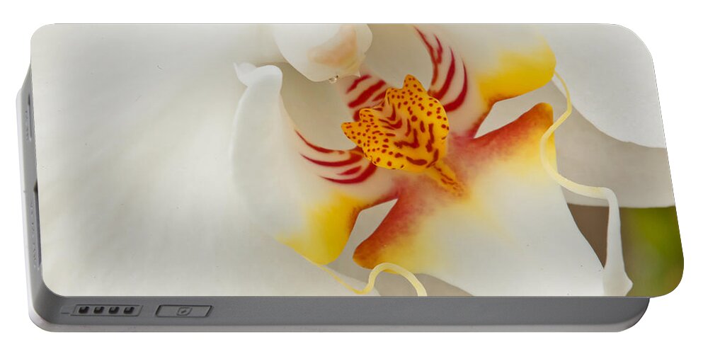 Orchid Portable Battery Charger featuring the photograph White Orchid 2 by Ben Graham