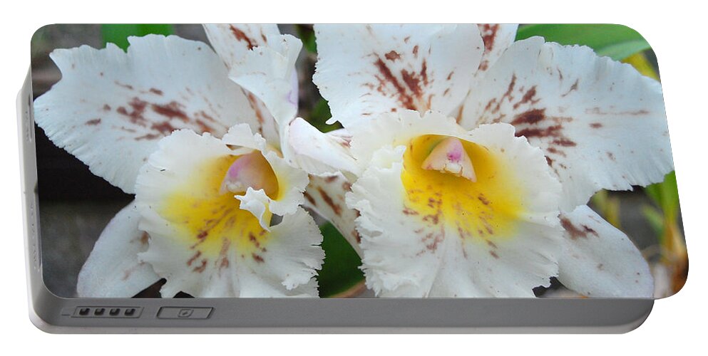 Kula Botanical Gardens Portable Battery Charger featuring the photograph White Orchids by Amy Fose