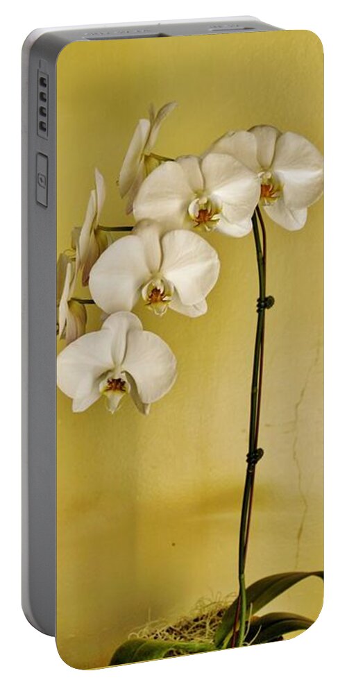 White Orchids Portable Battery Charger featuring the photograph White Orchids by Jean Goodwin Brooks
