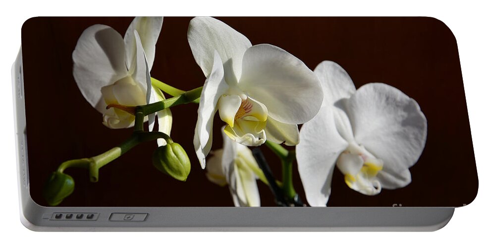 Orchids Portable Battery Charger featuring the photograph White by Ramona Matei