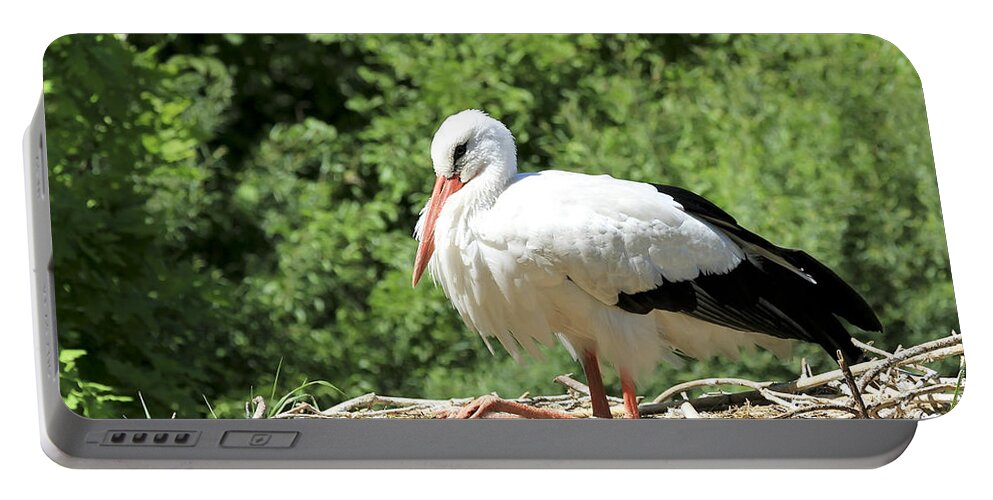 Bird Portable Battery Charger featuring the photograph White Stork by Teresa Zieba