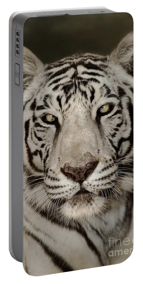 White Tiger Portable Battery Charger featuring the photograph White Tiger Portrait Wildlife Rescue by Dave Welling