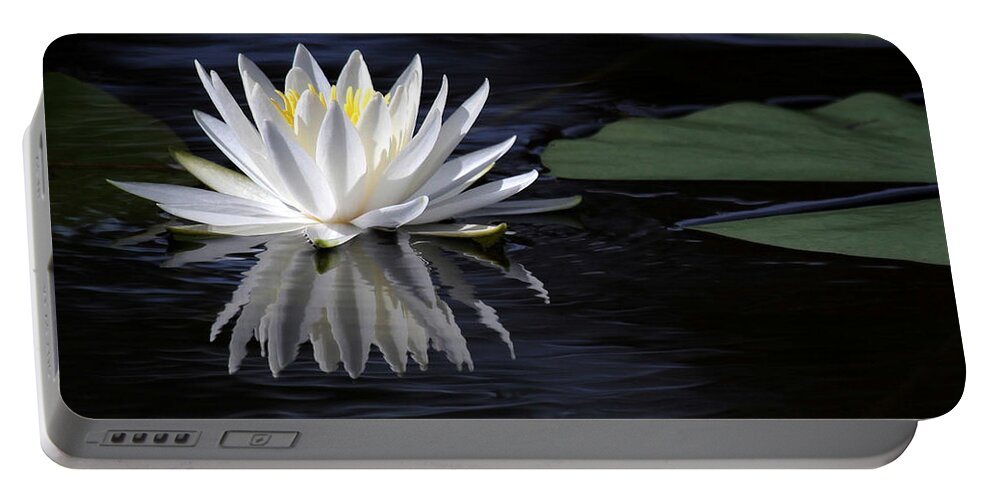 Water Lily Portable Battery Charger featuring the photograph White Water Lily Left by Sabrina L Ryan