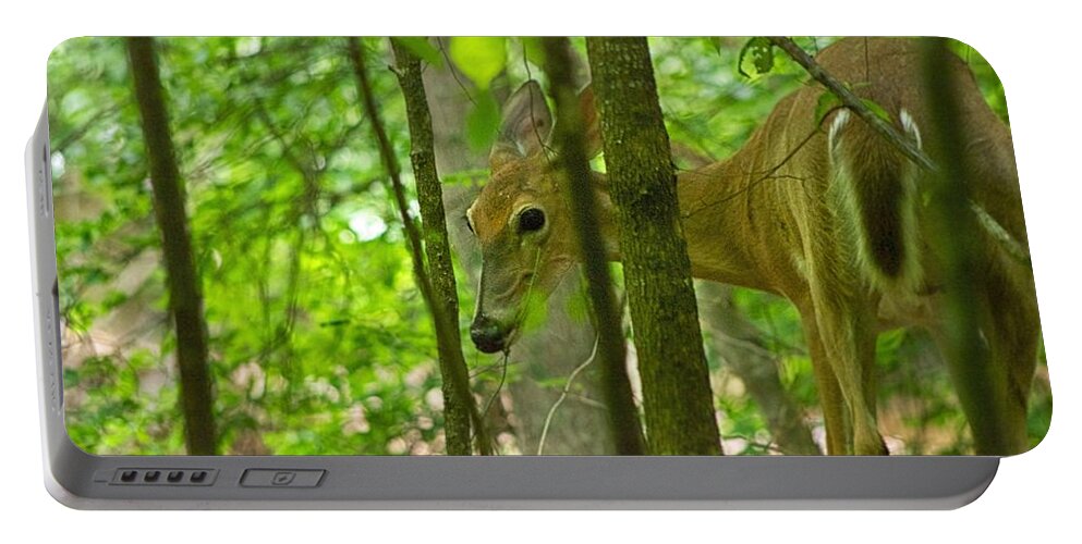 Whitetail Deer Portable Battery Charger featuring the photograph Discovered by Dennis Baswell
