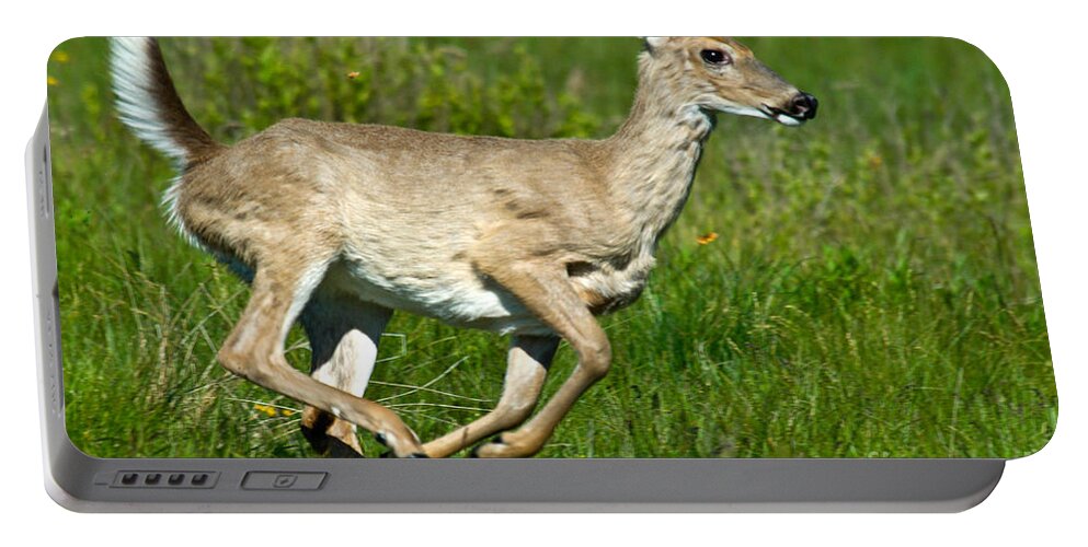 Fauna Portable Battery Charger featuring the photograph Whitetail Deer Running by Mark Newman