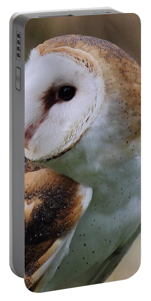 Barn Owl Portable Battery Charger featuring the photograph Who Said That? by Randy Hall