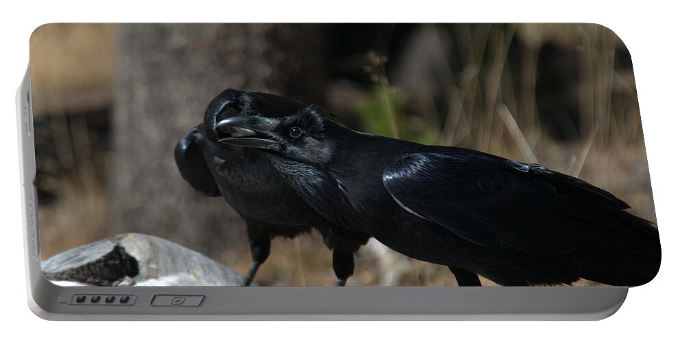 Raven Portable Battery Charger featuring the photograph Whoa you should see a dentist by Frank Madia