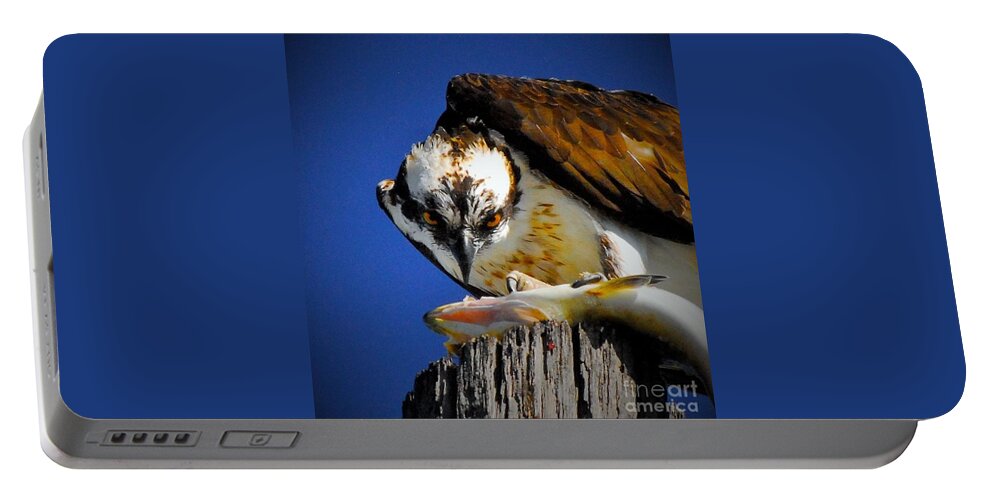 Osprey Portable Battery Charger featuring the photograph Who's looking at who by Quinn Sedam